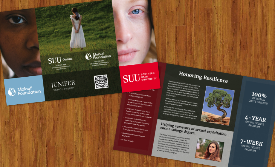 Partnership Brochure